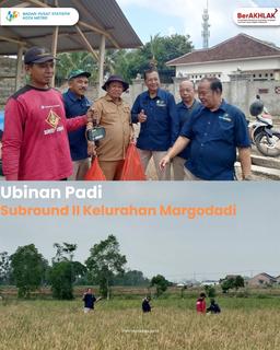 Paddy Ubinan Subround II in Kelurahan Margodadi