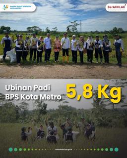 Ubinan Padi BPS Kota Metro 5,8 Kg 