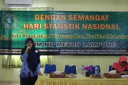 Statistics Seminar IAIM NU Metro