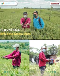 Survei KSA BPS Kota Metro