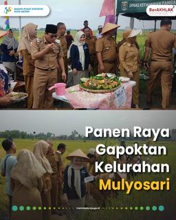 Kepala BPS Dampingi Walikota Metro Hadiri Panen Raya Gapoktan Kelurahan Mulyosari - Metro Barat 